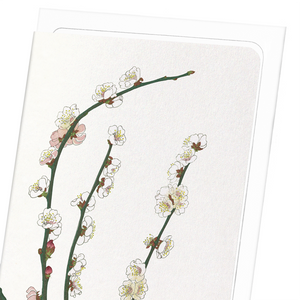 Image Title Plum blossom (Pack of 8 cards)