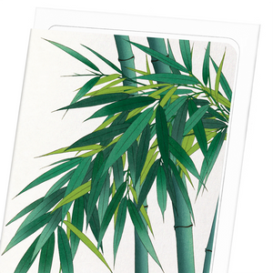Image Title Bamboo (Pack of 8 cards)