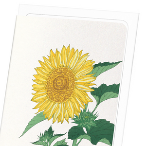 Image Title Sunflower (Pack of 8 cards)