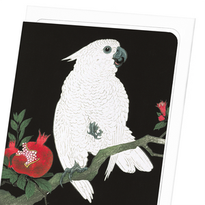 Image Title Cockatoo and pomegranate (Pack of 8 cards)