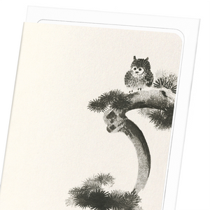 Image Title Owl on pine tree (Pack of 8 cards)