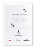 Ezen Designs - Congratulations from mr pug - Greeting Card - Back