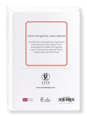 Dark red gallica roses (Pack of 8 cards)