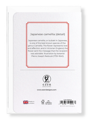 Japanese camellia (Pack of 8 cards)