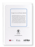 Forget me not flower (Pack of 8 cards)