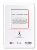 Apple (calville blanc) (Pack of 8 cards)