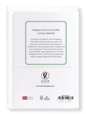 Aleppo pine & conifer cones (Pack of 8 cards)