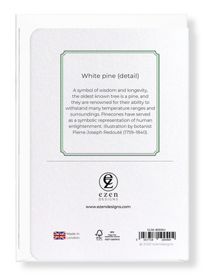 White pine (Pack of 8 cards)