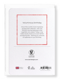 Ezen Designs - Voluminous birthday - Greeting Card - Back