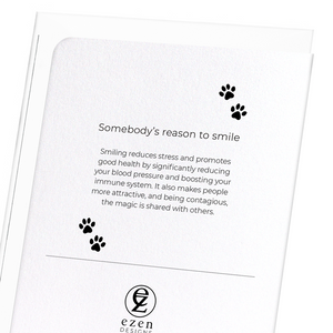 Somebody's reason to smile (Pack of 8 cards)