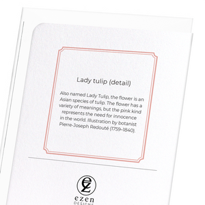 Lady tulip (Pack of 8 cards)