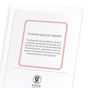 Oriental hyacinth (Pack of 8 cards)