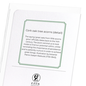 Cork oak tree acorns (Pack of 8 cards)