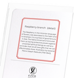 Raspberry branch  (Pack of 8 cards)