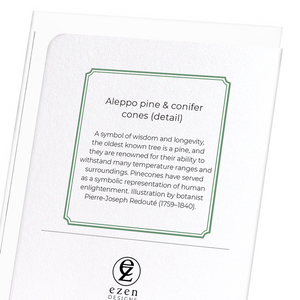 Aleppo pine & conifer cones (Pack of 8 cards)