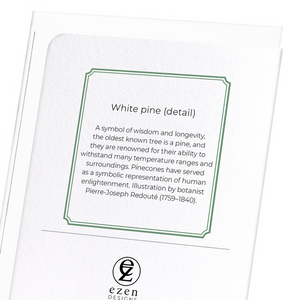 White pine (Pack of 8 cards)