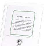 Pitch pine (Pack of 8 cards)