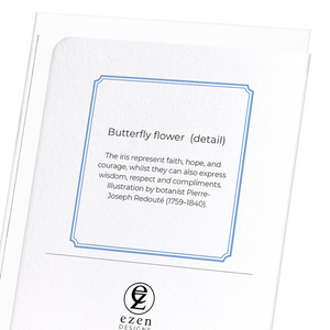 Butterfly flower  (Pack of 8 cards)