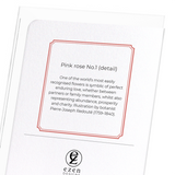 Pink rose No.1 (Pack of 8 cards)