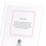 Pink rose (Pack of 8 cards)