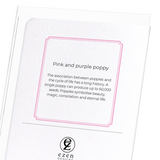 Pink and purple poppy (Pack of 8 cards)