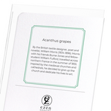 Acanthus grapes : 8 cards