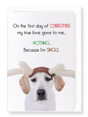 Ezen Designs - Because I'm single  - Greeting Card - Front