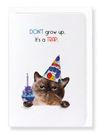 Ezen Designs - It's a trap - Greeting Card - Front