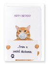 Ezen Designs - Birthday corona cat - Greeting Card - Front