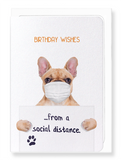 Ezen Designs - Birthday frenchie from a distance - Greeting Card - Front