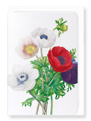 Ezen Designs - Anemone (detail) - Greeting Card - Front