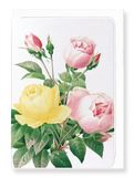 Ezen Designs - Yellow and pink rose (detail) - Greeting Card - Front