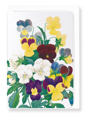 Ezen Designs - Bunch of pansies (detail) - Greeting Card - Front