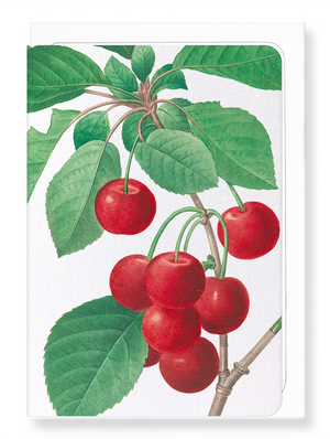 Ezen Designs - Cherry (detail) - Greeting Card - Front