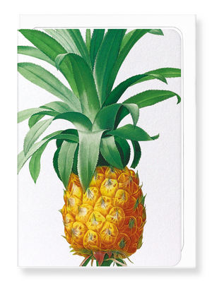 Ezen Designs - Pineapple (detail) - Greeting Card - Front