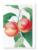 Ezen Designs - Peach No.2 (detail) - Greeting Card - Front