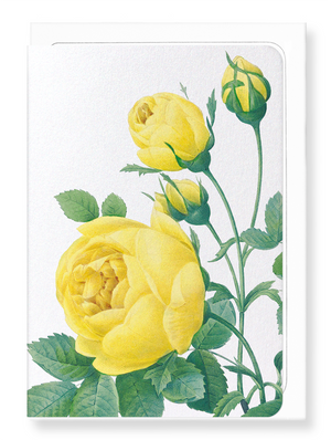 Ezen Designs - Yellow roses (detail) - Greeting Card - Front