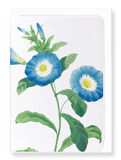 Ezen Designs - Field bindweed (detail) - Greeting Card - Front