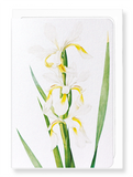 Ezen Designs - Iris  (detail) - Greeting Card - Front