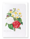 Pansies, narcissus & camellia (Pack of 8 cards)