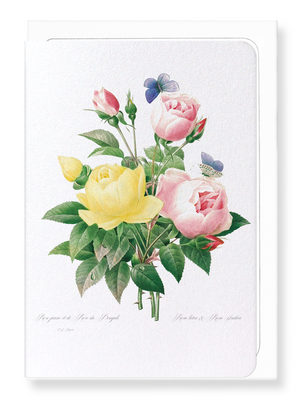 Yellow and pink rose (Pack of 8 cards)