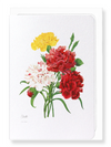 Carnation (Pack of 8 cards)