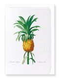 Pineapple (Pack of 8 cards)