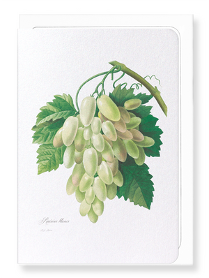 Grapes and vine leaves (Pack of 8 cards)