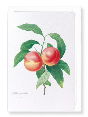 Peach No.2 (Pack of 8 cards)