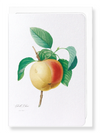 Apple (calville blanc) (Pack of 8 cards)