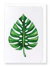 Ezen Designs - Monstera deliciosa - Greeting Card - Front