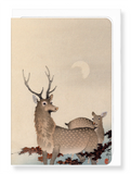 Ezen Designs - Two deer and maple - Greeting Card - Front