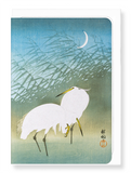 Ezen Designs - Egrets and crescent moon - Greeting Card - Front