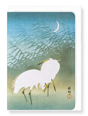 Ezen Designs - Egrets and crescent moon - Greeting Card - Front